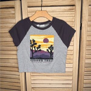 Kids Raglan Tee - Gray and Black